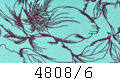 4808/6