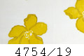 4754/19