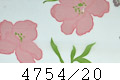 4754/20