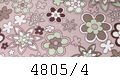 4805/4