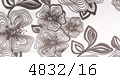 4832/16