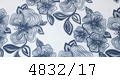 4832/17