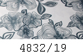 4832/19