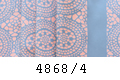 4868-4