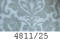 4811/25