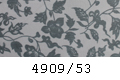 4909/53