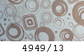 4949/13