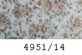 4951/14