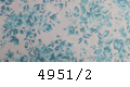 4951/2