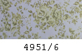 4951/6