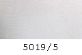 5019/5