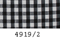 4919/2