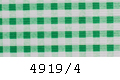 4919/4