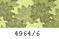 4964/6
