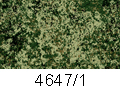 4647/1