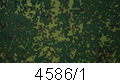 4586/1