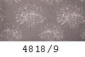 4818/9