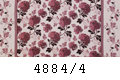 4884/4