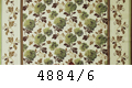 4884/6
