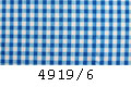 4919/6