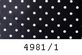 4981/1