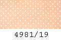 4981/19