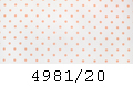 4981/20