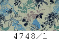 4748/1