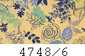 4748/6
