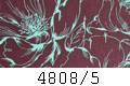 4808/5