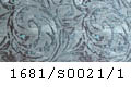 1681/S0021/1