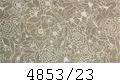 4853/23
