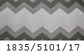 1835/5101/17