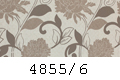 4855/6
