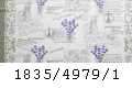 4979/1