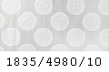 4980/10