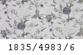 4983/6