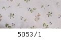 5053/1