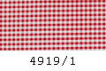 4919-1