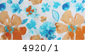 4920/1