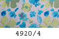 4920/4