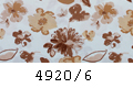 4920/6