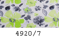 4920/7