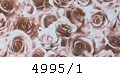 4995/1