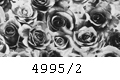 4995/2