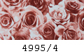 4995/4