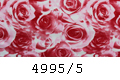 4995/5