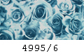 4995/6