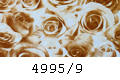 4995/9