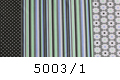 5003/1